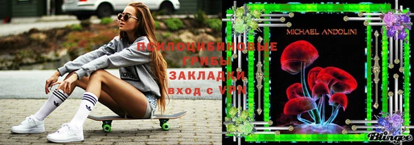MESCALINE Аркадак