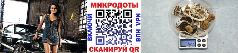 Псилоцибиновые грибы ЛСД  Семёнов 